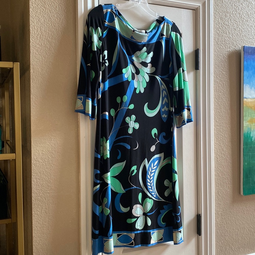 Dress Barn Dress.